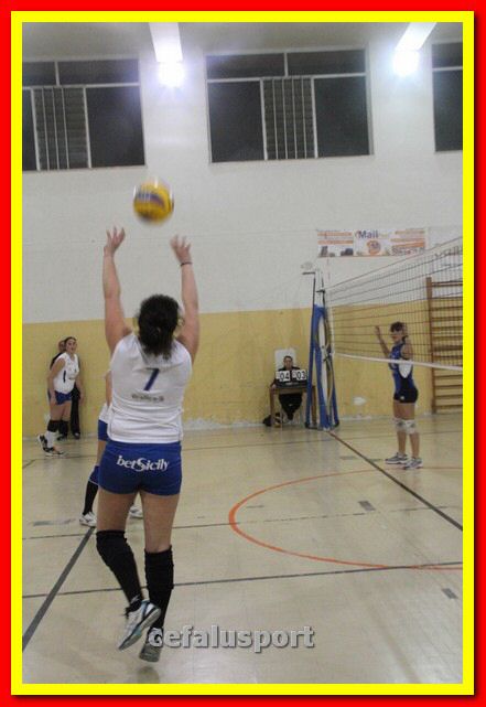 140305 Primula 069_tn.jpg